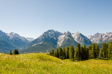 Ftan, Tarasp, Unterengadin, Bergdorf, Schloss, Fontana, Vulpera, Kirche, Wanderweg, Bergwiese, Alm, Alpen, Engadin, Innschlucht, Inn, Fluss, Graubünden, Sommer, Schweiz