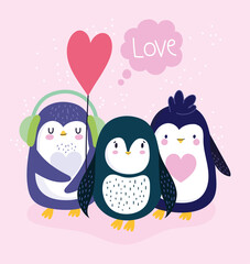 penguins lovely antarctic bird animal cartoon wildlife