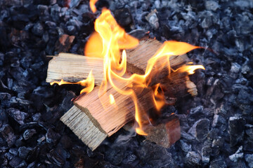Burning flame on coals. Small bonfire.