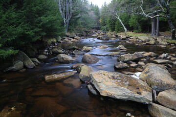 Flowing river in a rural landscape