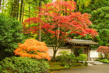 Portland, Oregon;  The entrance to the Japanese gardens in Portland