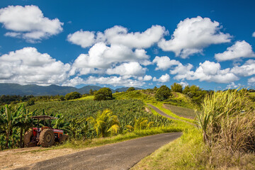 road in the countryside on a caribbean island