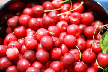 Fresh cherry on black plate on slate background