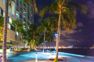 Palm trees and skyscrapers in Miami Riverwalk at night