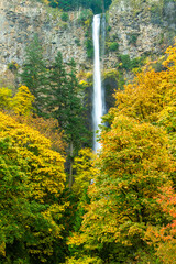 Multnomah Falls in the autumn season  in the Columbia River Gorge national Scenic area just east of Porrtland, Oregon.