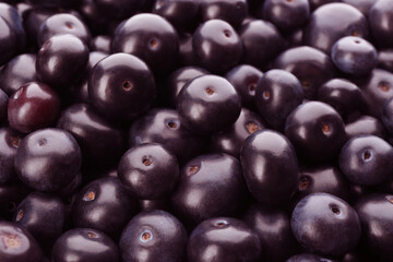 Fresh ripe acai berries as background, closeup