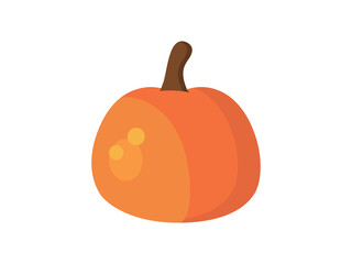 Pumpkin vector illustration. Pumpkin   vector design.