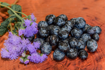 fresh blueberries on wooden background