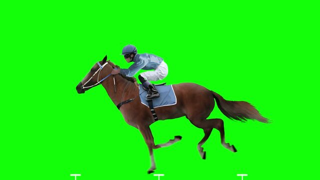 Red Horse Jockey Jumping.  Isolated and cyclic. Can be used as a silhouette. Green Screen.
