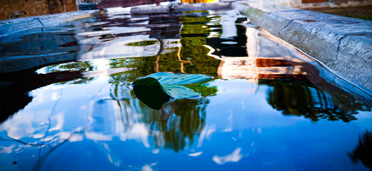 reflections in the water