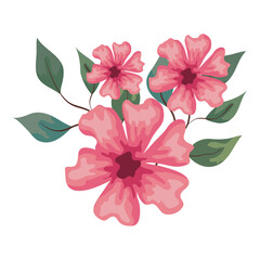 flowers pink color with branches and leaves, on white background vector illustration design