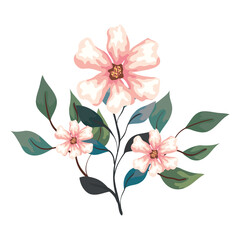 flowers with branches and leaves, on white background vector illustration design