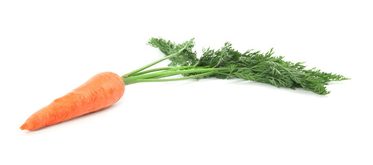 Fresh ripe juicy carrot isolated on white