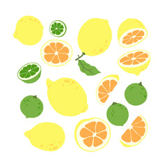 Hand drawn set of fruits. Colorful cartoon lemons and limes.