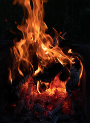 Bright red flames of fire. Ashes and coals. Flames on a dark background. Hot red hot coals,...