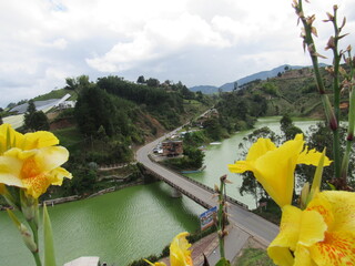 Road thru the bridge, flowers and river. Medellin, Colombia