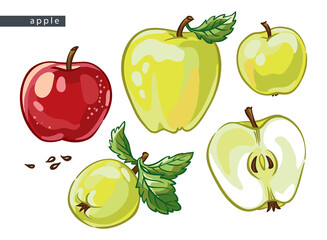 sketch_apples_set_five_drawings