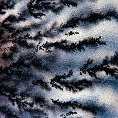 Dendrite tsrystals bush