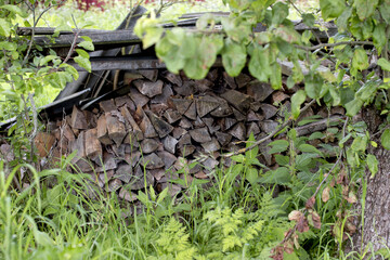 Split wood lying in the yard.