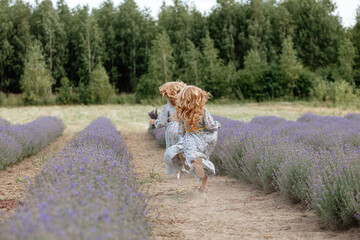 Charming caucasian girls walking in a lavender field during a sunset