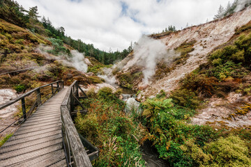 Fototapeta na wymiar Wooden footbridge with steam in Wairakei Thermal Valley