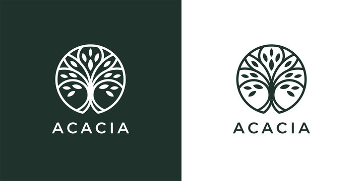 Circle tree logo icon template design. Abstract round garden plant natural line symbol. Green branch with leaves business sign. Vector illustration.