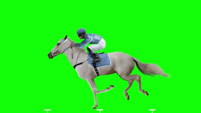Jockey riding a white horse jumping. Isolated and cyclic. Can be used as a silhouette. Green Screen.