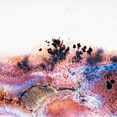 Dendrite crystals abstract