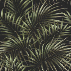 palm tree pattern - 367595064