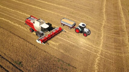 Mähdrescher und Traktor mit Anhänger bei der Ernte von Getreide auf einem Feld, Landwirtschaft, Erntearbeiten aus der Vogelperspektive