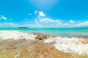 Blue sky over beautiful La Datcha beach in Guadeloupe