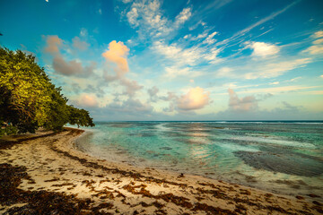 Sunset in Bois Jolan beach in Guadeloupe