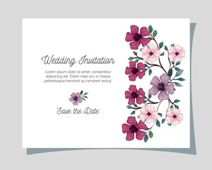 greeting card with flowers lilac, pink and purple color, wedding invitation with flowers with branches and leaves decoration vector illustration design
