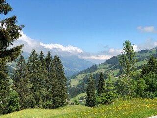 Obraz premium Swiss Apls