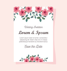 greeting card with flowers pink color, wedding invitation with flowers pink color with branches and leaves decoration vector illustration design
