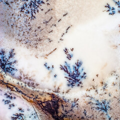 Decorative Moss Agate