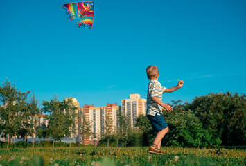 little boy launches a kite in the park. flying kite