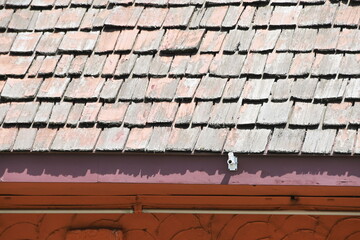 Roof Shingles