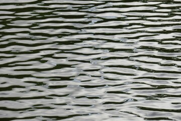Obraz premium Closeup of rippled water surface as a background, patterns on water