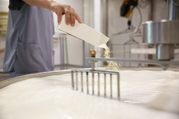 Fototapeta na wymiar Worker adding culture to milk in curd preparation tank at cheese factory, closeup