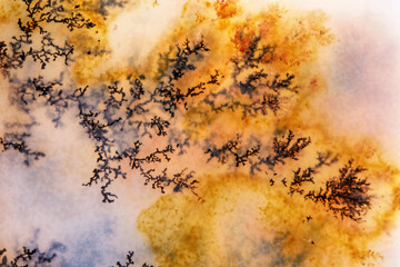 Moss Agate with Crystals Dendrite