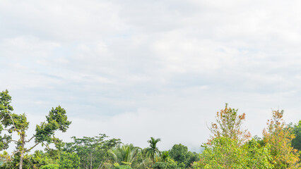 Mountain range with visible silhouettes through the morning colorful fog, Bright and enjoy your eye with the sky refreshing in Phuket Thailand.