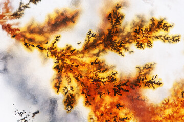 Moss Agate with Crystals Dendrite