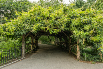 Green path in the park