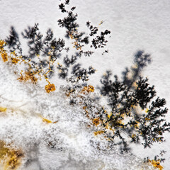 Crystals Dendrite