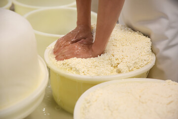 Worker pressing curd into mould at cheese factory, closeup