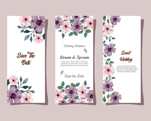 greeting cards with flowers pink and lilac color, wedding invitations with flowers with branches and leaves decoration vector illustration design