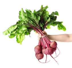 Woman holding raw ripe beets on white background, closeup