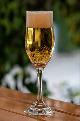 Home Brewed Beer