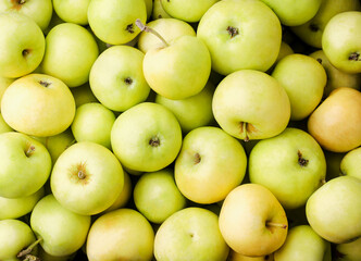 Apples close-up, background. The view from top